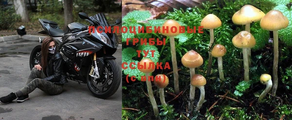 apvp Абдулино