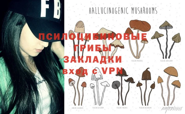 apvp Абдулино
