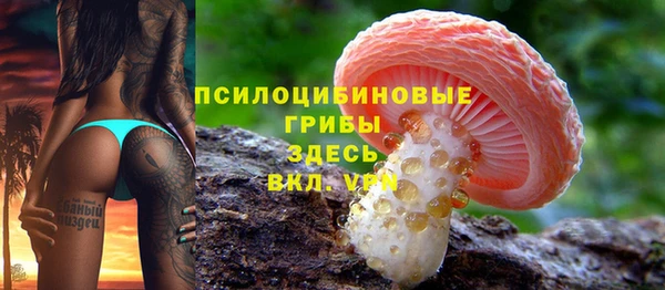 2c-b Новодвинск