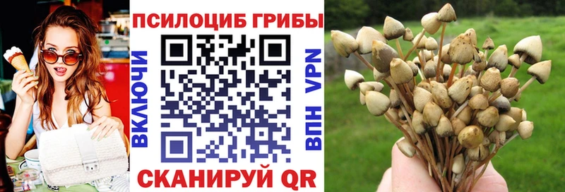 Псилоцибиновые грибы GOLDEN TEACHER  это клад  Власиха 