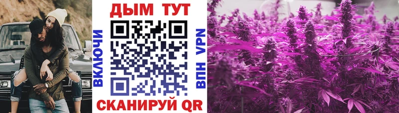 дарнет шоп  Власиха  MEGA ссылки  Бошки марихуана ГИДРОПОН 